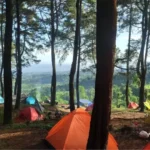 Bukit Kabayan, Spot Kemping Asri di TNGHS Bogor
