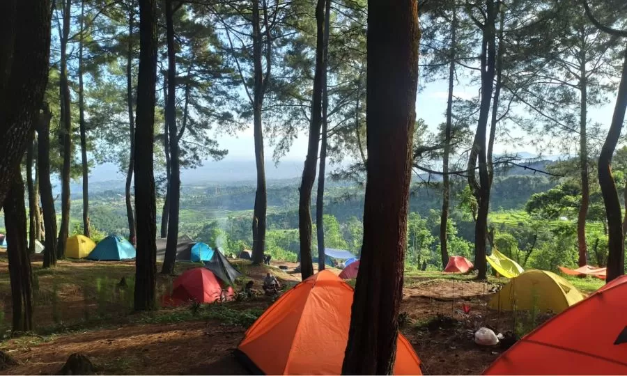 Bukit Kabayan, Spot Kemping Asri di TNGHS Bogor